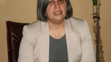 Kışanak, Türk Jetinin Vurulmasını Değerlendirdi