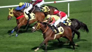 86. Gazi Koşusu'nu 'Matador Yaşar' Kazandı