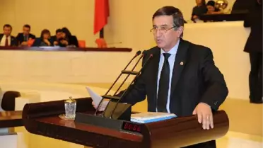 CHP'li Demiröz Bakana Sordu; Şevketiye Göleti Su Sızdırıyor Mu?