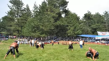 Mahmutlar Sarı Çayır Yayla Şenliklerine Yoğun Katılım