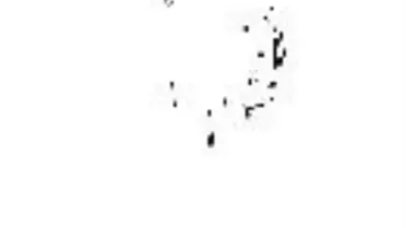 Örümceğin Altınları Turkcell'e!