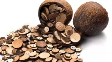 Düğmeler, Yaz Modasının Merkezinde