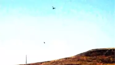 Suriye, Karakoluna Dev Bayrak Dikti