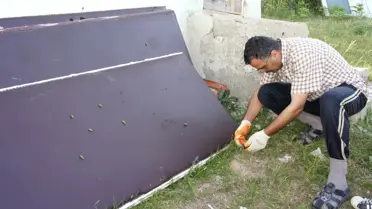 Çekirgeler Bir Köyü İstila Etti