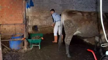 Damızlık Birliğinden 'Gübreden Temiz Enerji' Kokteyli