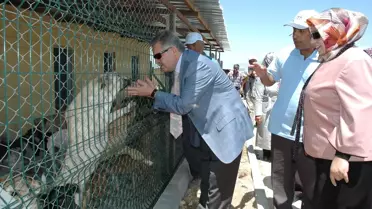 Karaman'da Sokak Köpekleri İçin Barınak