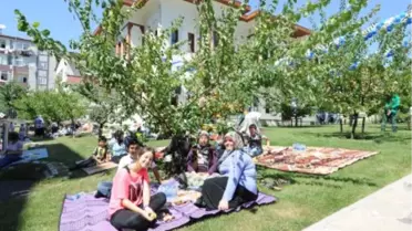 Bağcılar'da Kayısı Dalından Yenir