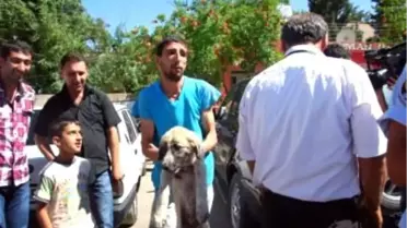 Araçta Kalan Köpek İçin Seferber Oldular
