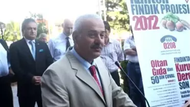 Trabzon'da Kaliteli Fındık Projesi