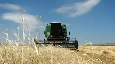 Muttalip'de İlk Arpa Hasatı Yapıldı