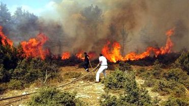 Suriye'deki Yangın Türkiye'ye Sıçradı