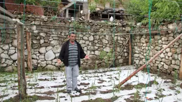 Dolu Erzurum'da Ekili Arazileri Vurdu