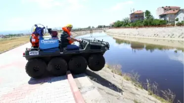 Sineklere Bataklıklarda Geçit Yok