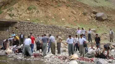 Aşiret Mensubuna Görkemli Düğün