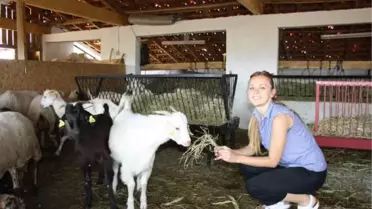 Türk Zeytinyağını Avrupa'ya Tanıttılar