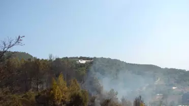 Beykonak'ta Yangın Korkuttu