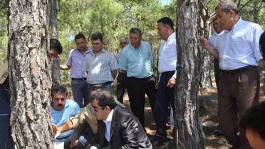 Vali, Reçine Üretim Sahalarını İnceledi