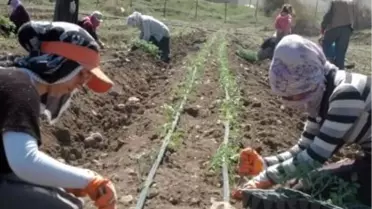 Bitlis'te Su Kavgası; 1 Ölü, 1 Yaralı