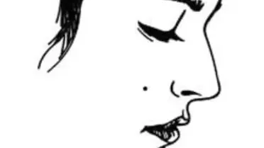 Göçmen Kadınlar Alman Anayasası Dağıttılar