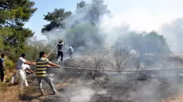 Orman Yangını 'İmece'yle Söndürüldü