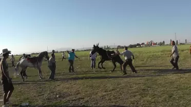 Beyşehir'de Rahvan Atlar Yarıştı
