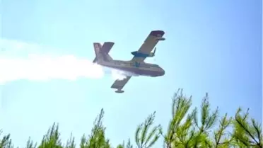 Alanya'daki Yangın Söndürüldü