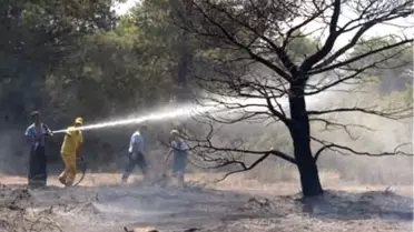 Antalya'da Orman Yangını 'İmece'yle Söndürüldü