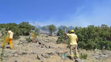 Niğde'deki Orman Yangını Sürüyor