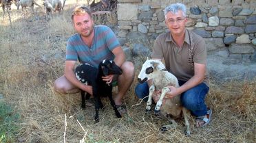 Burhaniye'de Yaz Kuzuları