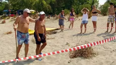 Caretta Caretta Yuvaları Koruma Altına Alındı