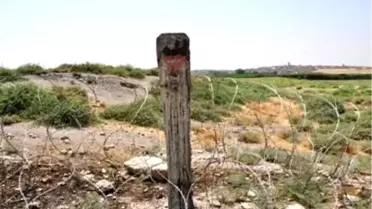 Suriye'nin Türkiye Sınırındaki Kamışlı'da Gergin Bekleyiş )