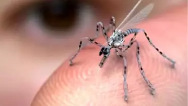 Su Üstünde Yürüme Yeteneğine Sahip Dünyanın İlk Mikro Robotu Yapıldı