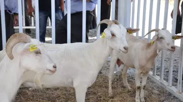 Çiftçilere Faizsiz Destek