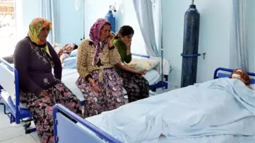 İşçileri Taşıyan Traktör Römorku Devrildi: 17 Yaralı