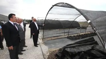 Vali Yüksel Seralarda İncelemelerde Bulundu