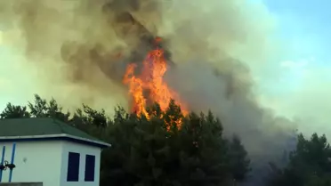 Antalya'da Orman Yangını