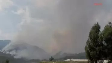 Anamur'da 25 Hektar Orman Yandı, 25 Küçükbaş Hayvan Telef Oldu