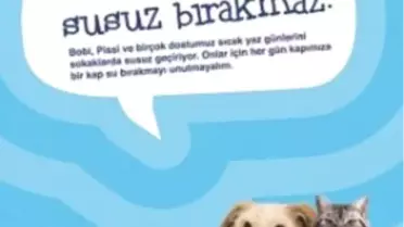Bobi ve Pissi'nin Dostları Susuz Kalmasın!