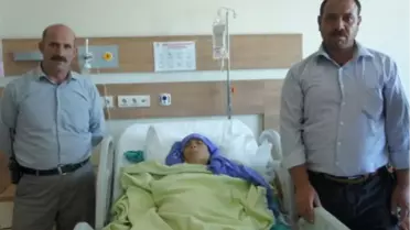 Böbreğinden 150 Taş Çıktı