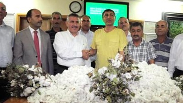 Çukurova'da Sezonun İlk Pamuğu Satıldı