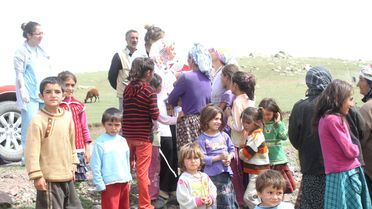 Taşlıçay'da Kuduz Korkusu