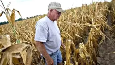 Türkiye İçin Karamsar Tablo