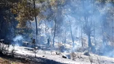 İmamoğlu'ndaki Orman Yangını 11 Saatte Kontrol Altına Alındı