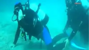 Deniz Altında Timsah Yürüyüşü