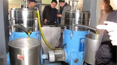 Mtso'nun Zeytin Projesi'nin Sonuç Raporu Açıklandı