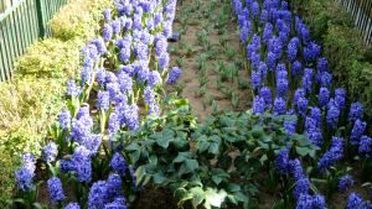 Hz. Yuşa Türbesi Yeni Çehresine Kavuşuyor