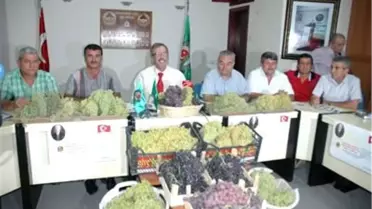 Ege Bölgesi'nin 2012 Yılı Tahmini Çekirdeksiz Kuru Üzüm Rekoltesi Açıklandı