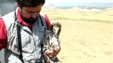 Akbabaya Uydu Vericisi Takıldı
