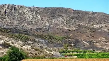 Adana'daki Orman Yangını