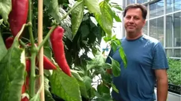 Bibere Bilimsel Araştırma